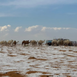 Deserto fica coberto de gelo na Arábia Saudita