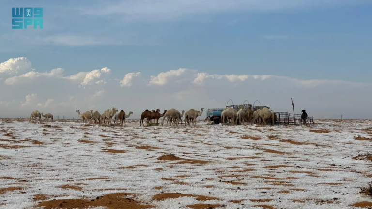 Deserto fica coberto de gelo na Arábia Saudita