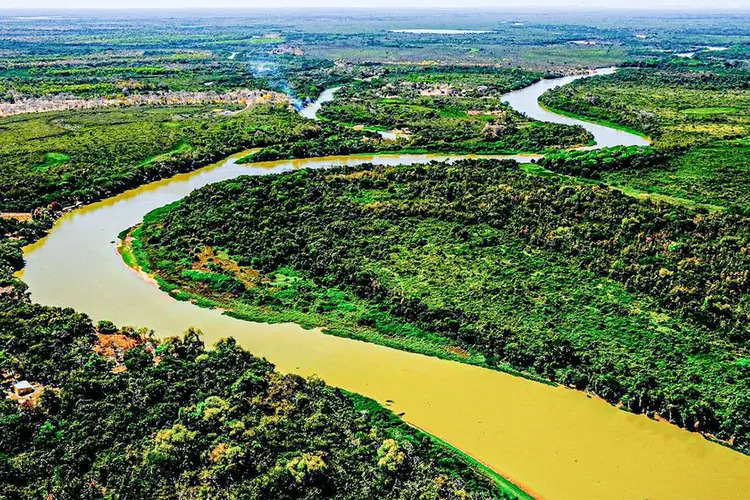 Dia do Pantanal: bioma brasileiro vem sofrendo com incêndios e