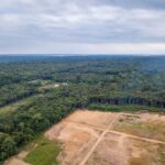 Emissões de gases do Brasil sofrem maior queda em 15