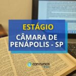 Estágio Câmara de Penápolis - SP: bolsa de até R$