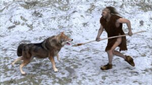 Fábrica de cola neandertal: arqueólogos descobrem forno de 65 mil