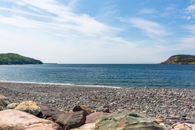 Mistério de bolhas brancas em praia do Canadá é revelado