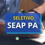 PA promove novo processo seletivo; 199 vagas