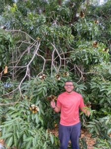 Pesquisadores do Jardim Botânico do Rio descobrem nova espécie de