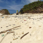 Plástico na praia: cientistas criam satélite para monitorar lixo do