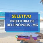 Prefeitura de Delfinópolis - MG abre processo seletivo