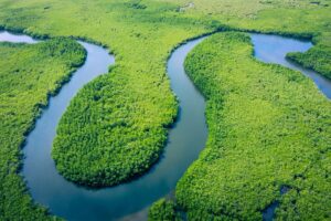 Rios na Amazônia têm risco alto de contaminação por mercúrio,