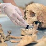 Rosto de ‘vampira’ de 400 anos é reconstruído na Polônia;