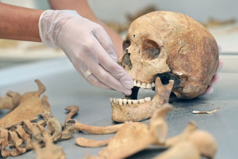 Rosto de ‘vampira’ de 400 anos é reconstruído na Polônia;