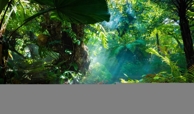 Tempestades estão derrubando mais árvores na Amazônia