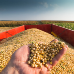 Brasil abre 300 mercados no agro e bate recorde histórico