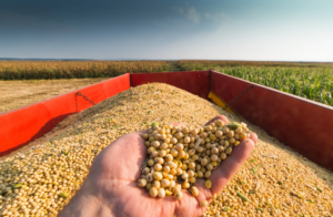 Brasil abre 300 mercados no agro e bate recorde histórico