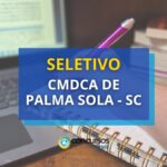 CMDCA de Palma Sola – SC abre vagas em processo