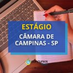 Câmara de Campinas - SP divulga vagas de estágio; R$