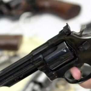 Câmara enfraquece Estatuto do Desarmamento ao liberar registro de armas