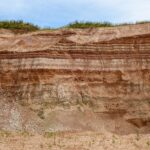 Conheça organismos que moram nos confins da crosta da Terra