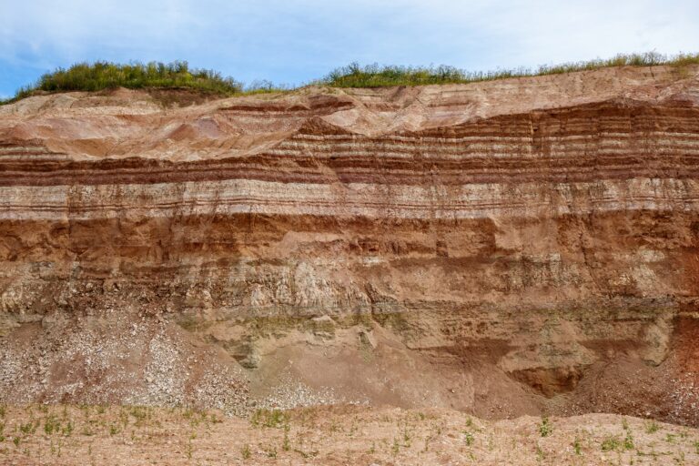 Conheça organismos que moram nos confins da crosta da Terra