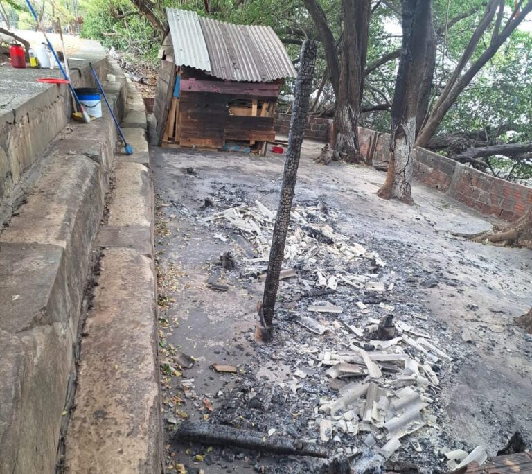 Incêndio criminoso destrói abrigo de animais e deixa dois gatos