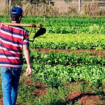 Lula assina decreto que semeia inovação e pesquisa na agricultura