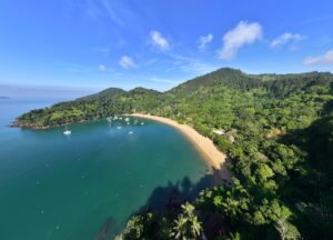 Mar do litoral de São Paulo está contaminado com cocaína,