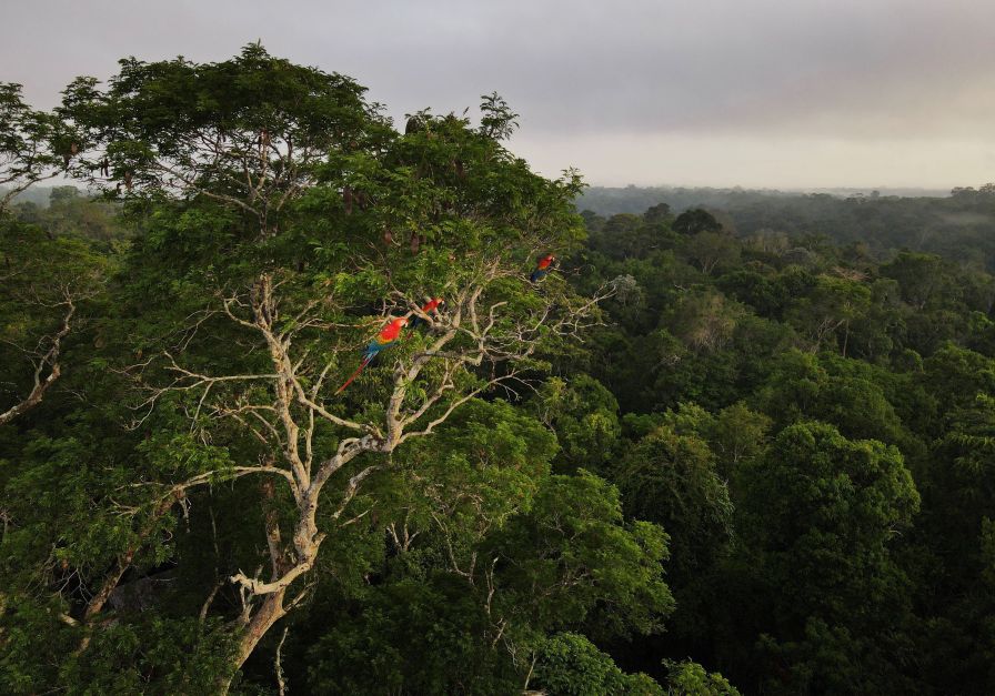 Mortes violentas na Amazônia Legal caem, mas número ainda é