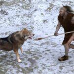 Neandertais tinham um segredo para enfrentar o frio, revela estudo