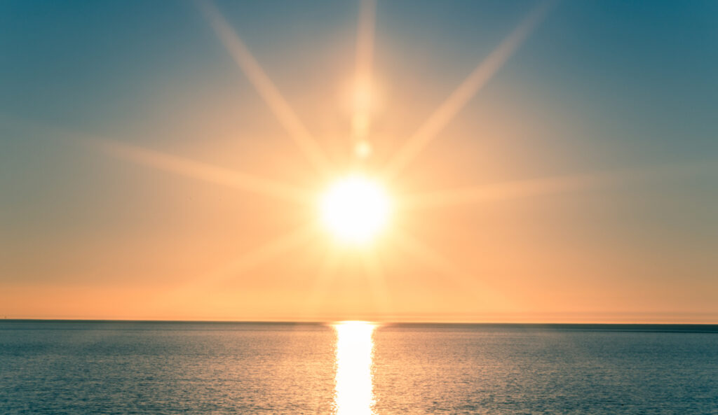 Onda de calor quase dizimou espécie marinha, revela estudo