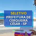 Prefeitura de Cerqueira César - SP abre edital de seletivo