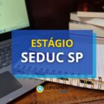 SEDUC SP abre edital com centenas de vagas de estágio