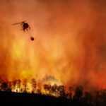 Amazônia registra o maior número de incêndios florestais em 17