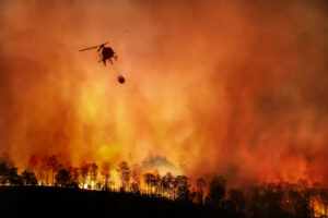 Amazônia registra o maior número de incêndios florestais em 17