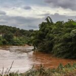 Estudo detecta presença de metais na urina de crianças em