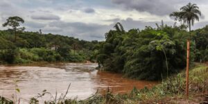 Estudo detecta presença de metais na urina de crianças em