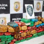 Polícia Civil apreende cerca de uma tonelada de drogas no