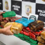 Polícia Civil do Maranhão apreendeu cerca de uma tonelada de