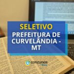 Prefeitura de Curvelândia – MT libera edital de processo seletivo