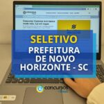 Prefeitura de Novo Horizonte - SC anuncia edital de seletivo