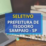 Prefeitura de Teodoro Sampaio - SP abre novo edital de