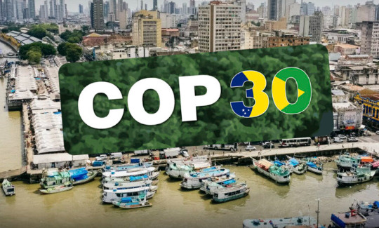 Representantes da ONU elogiam preparativos para COP30 no Brasil