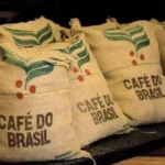 Saiba qual estimativa da produção brasileira de sacas de café