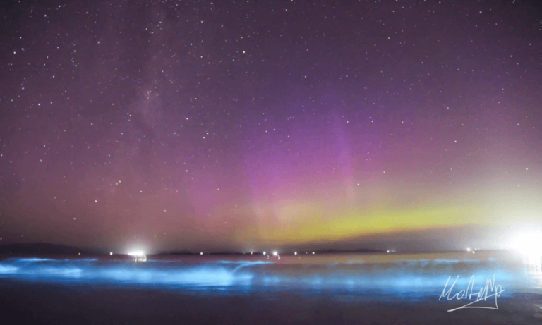 Aurora em forma de beija-flor surpreende em foto da NASA