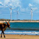 Brasil entre os quatro países com maior potencial para liderar