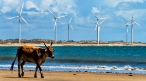 Brasil entre os quatro países com maior potencial para liderar