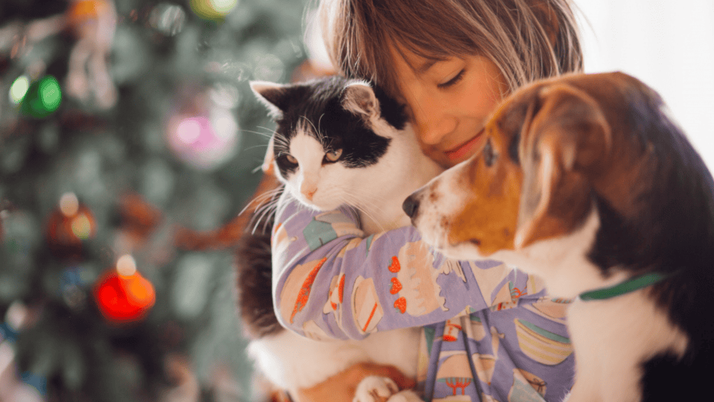 Cães e gatos: 5 sites para você encontrar animais para