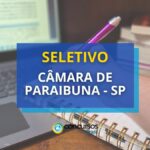 Câmara de Paraibuna - SP lança seletivo na área jurídica