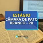 Câmara de Pato Branco - PR divulga seletivo para estágio