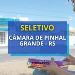 Câmara de Pinhal Grande - RS abre vaga para nível