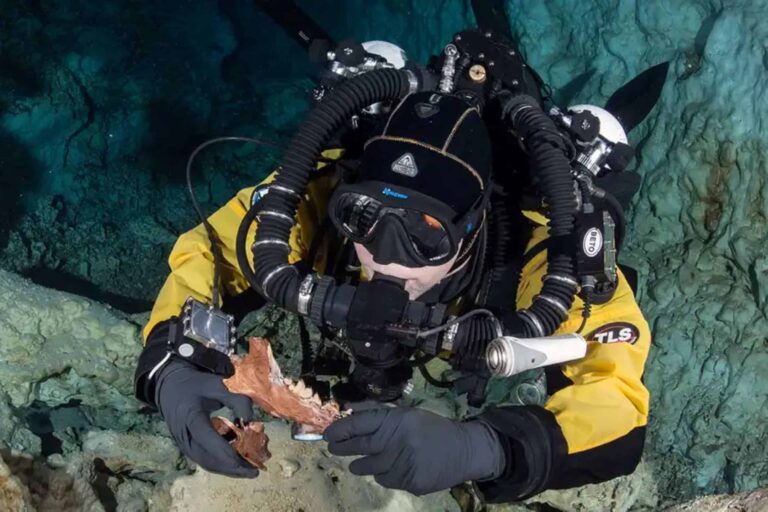 Caverna subaquática escondeu por milênios fósseis de ursos e lobos