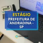 Estágio Prefeitura de Andradina – SP: oportunidades em 45 áreas